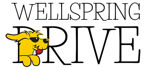 Wellspring Drive