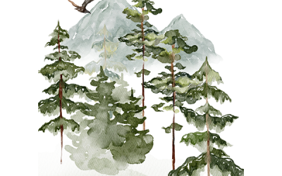 Where The Whapping Trees Are